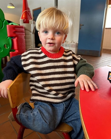 PetiteKnit Holger Sweater